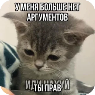 Стикер Больше стиков тут: @stikery4 - 10