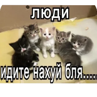 Стикер Больше стиков тут: @stikery4 - 8