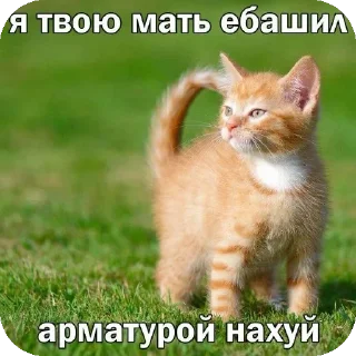 Стикер Больше стиков тут: @stikery4 - 1