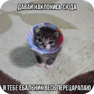 Стикер Больше стиков тут: @stikery4 - 9