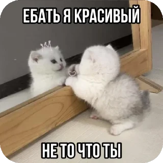 Стикер Больше стиков тут: @stikery4 - 3