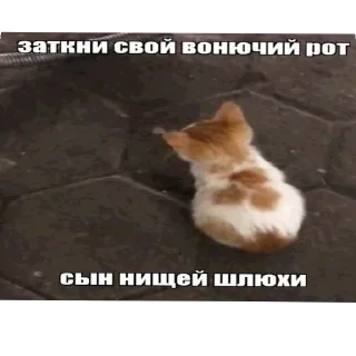 Стикер Больше стиков тут: @stikery4 - 6