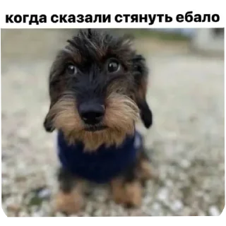 Стикер Tweek - 4