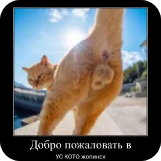 Sticker Ультра Мамка - 9