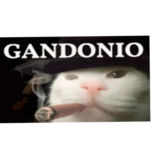 Sticker UmniKoti - 1