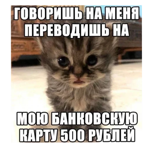 Sticker UmniKoti - 1