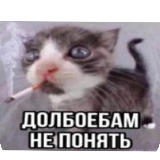 Sticker UmniKoti - 1