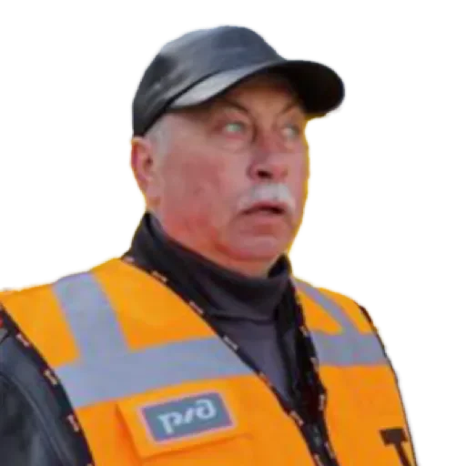 жд сигма мемы by @stqrapp - 