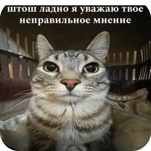 Sticker ValikFemale_by_MoiStikiBot - 1