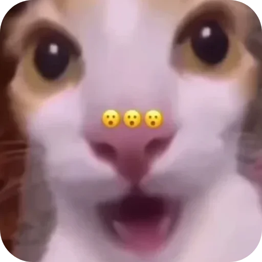 Стикер VazhnyePeregovory758 - 1