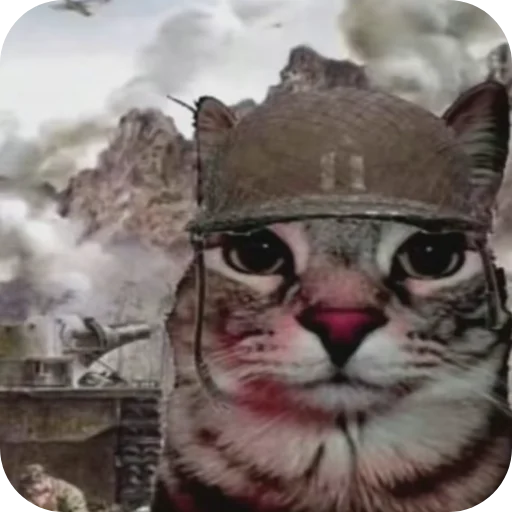 Важные переговоры - 