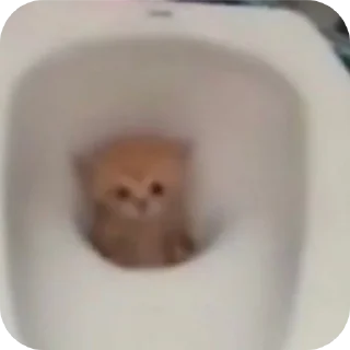 Sticker Важные переговоры - 5