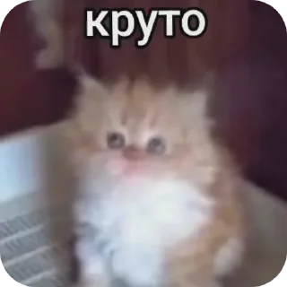 Sticker Важные переговоры - 8