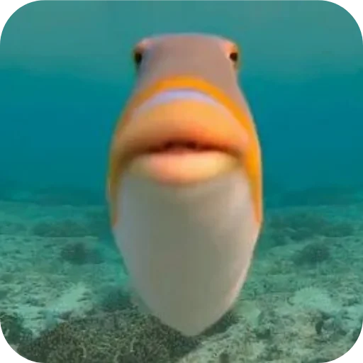 Sticker Vegetriya_by_TgEmodziBot - 1