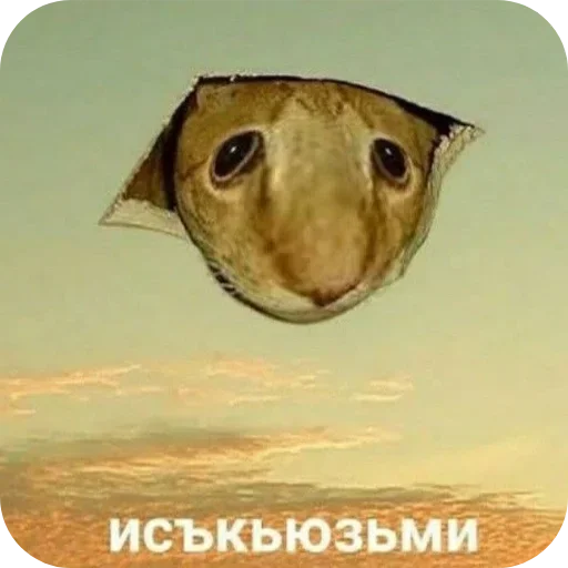 Стикер Vishenkapak - 1