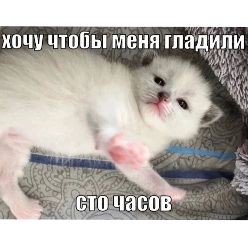 Sticker Viviska2 - 1