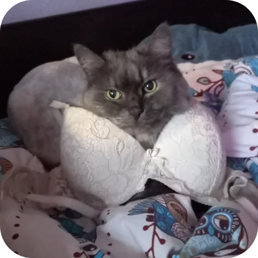 Стикер Viviska2 - 1