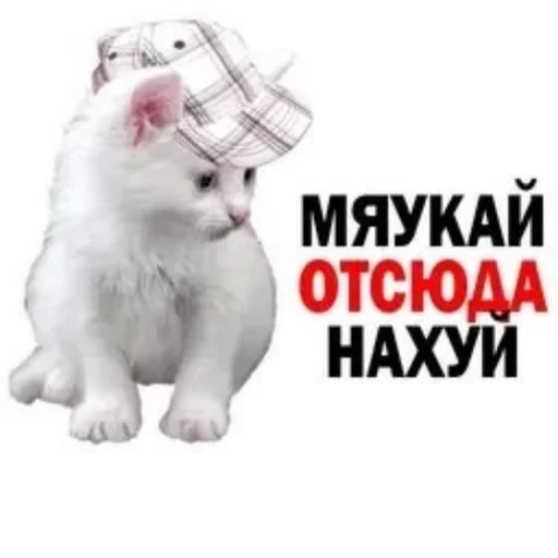 Стикер Viviska2 - 1