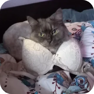 Sticker Вивиска - 11