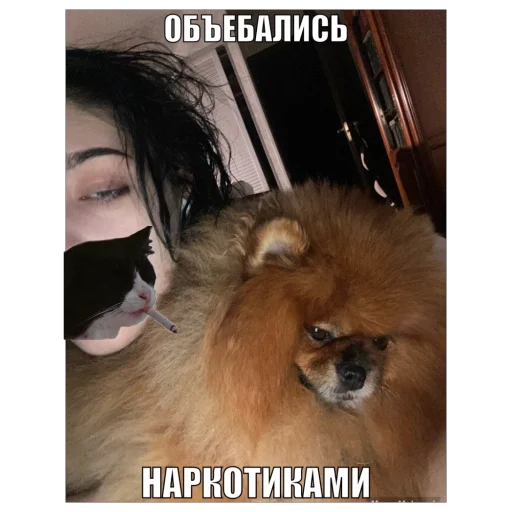 Стикер Vonyaesh9 - 1