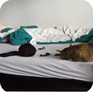 Стикер Вовочка—Мурка—Аня🥰 - 6