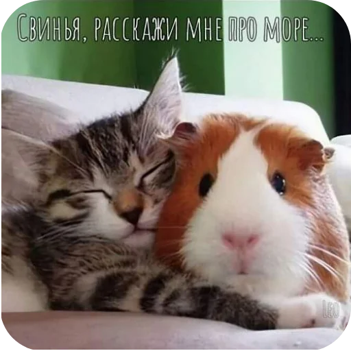 Sticker Vsyakoe451 - 1