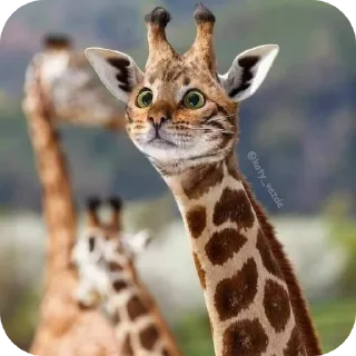 Стикер Всякое - 11