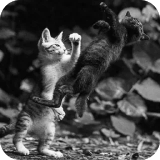 Стикер Всякое - 8