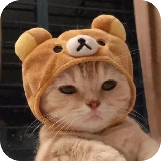 Sticker Котики и собачки - 8