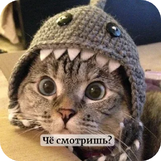Sticker Котики и собачки - 1
