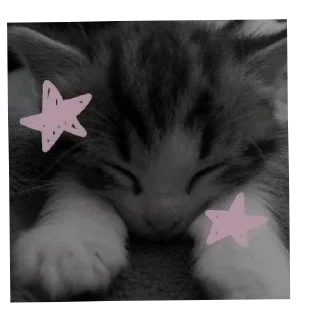 Sticker Котики и собачки - 2