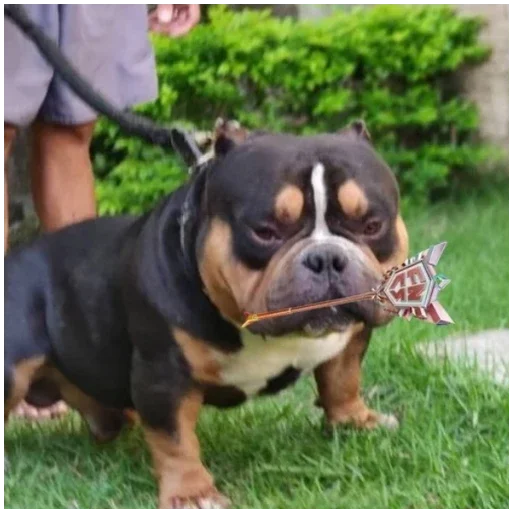 Sticker Wolodya9 - 1