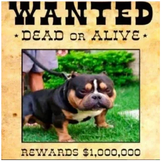 Sticker Travlya by @onelovveS - 1