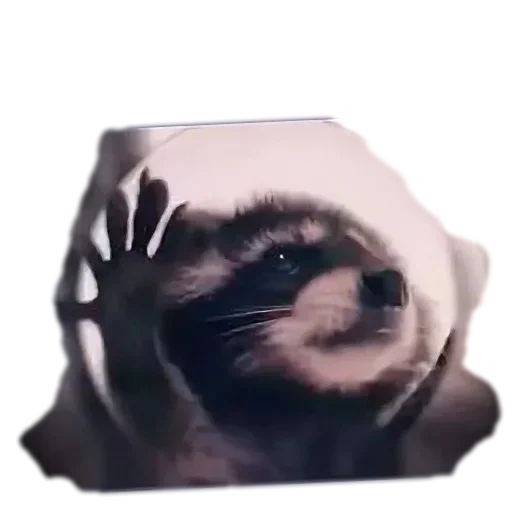 Больше стиков тут: @stikery4 - 