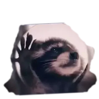 Стикер Больше стиков тут: @stikery4 - 5