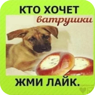 Стикер Больше стиков тут: @stikery4 - 6