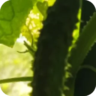 Стикер Больше стиков тут: @stikery4 - 8