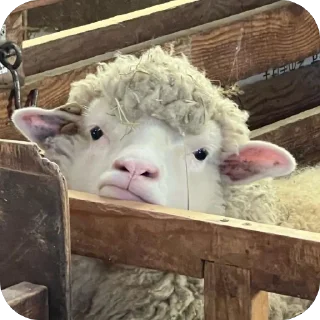 Стикер XSquad - 1