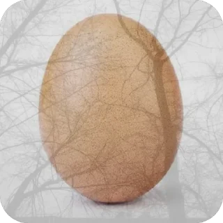 Sticker Яички - 6