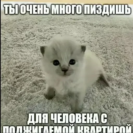 Стикер YGAhXXmTiBWvuBPp_by_stickers_stealer_bot - 1