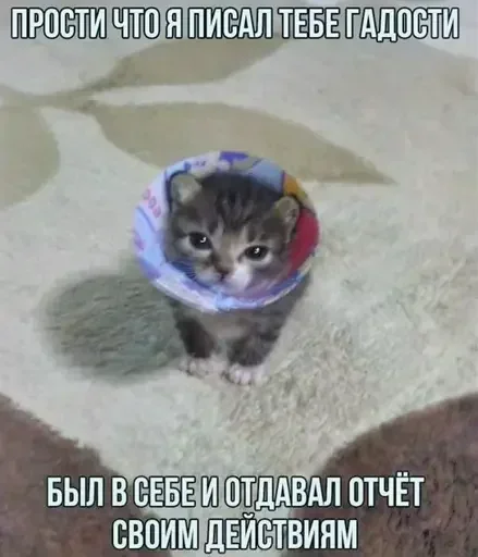 Стикер YGAhXXmTiBWvuBPp_by_stickers_stealer_bot - 1