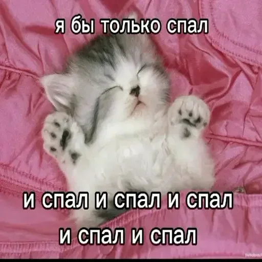 Стикер YGAhXXmTiBWvuBPp_by_stickers_stealer_bot - 1