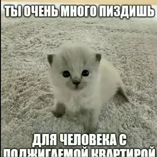 Sticker @sexstikkers - 10