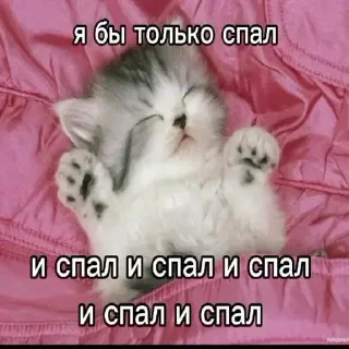 Sticker @sexstikkers - 4