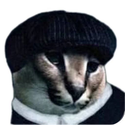 Sticker YUmor605 - 1