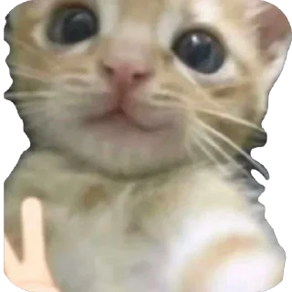 Стикер я яmorgenahtern - 2