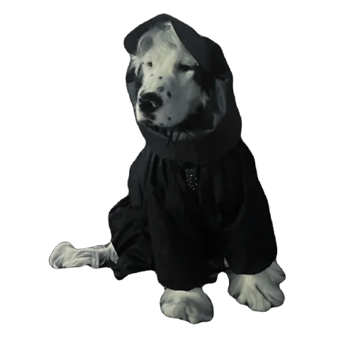 Sticker YoungBoyyyyssss - 1