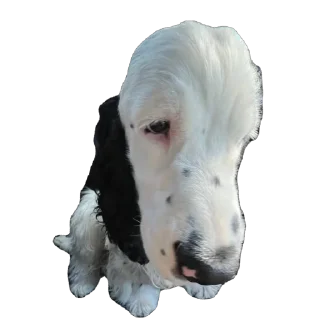 Sticker YoungCrewЁба - 3