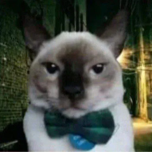 Стикер Yuyoo - 1