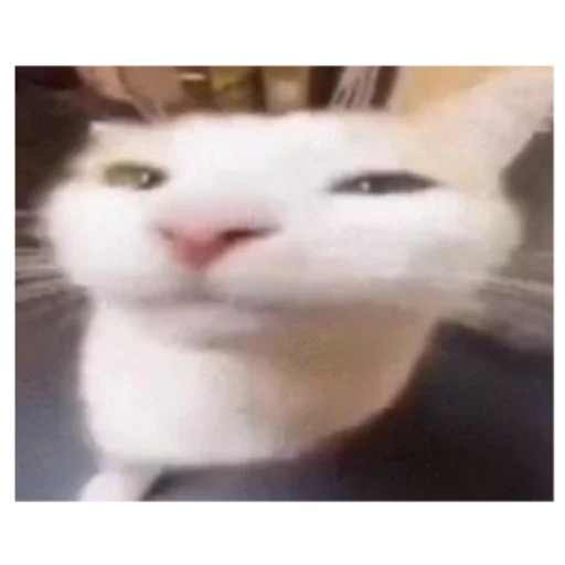 Стикеры  @Za_mono1ith - 